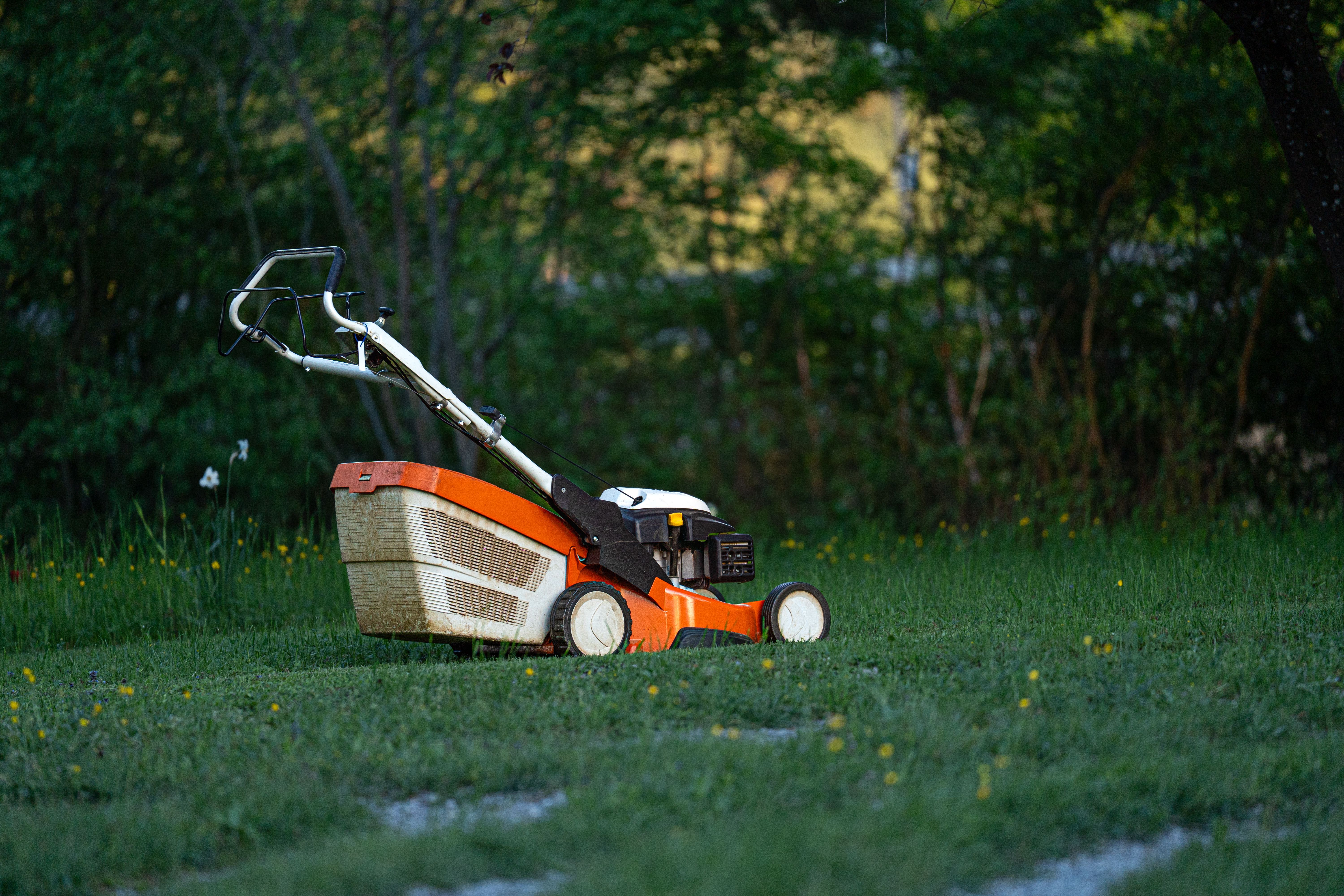 Neatly maintained garden lawn in the Western Cape